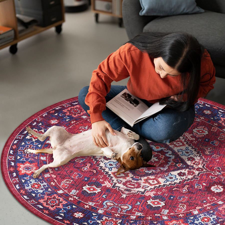 RW1307 washable chenille area rug, pet and kid friendly