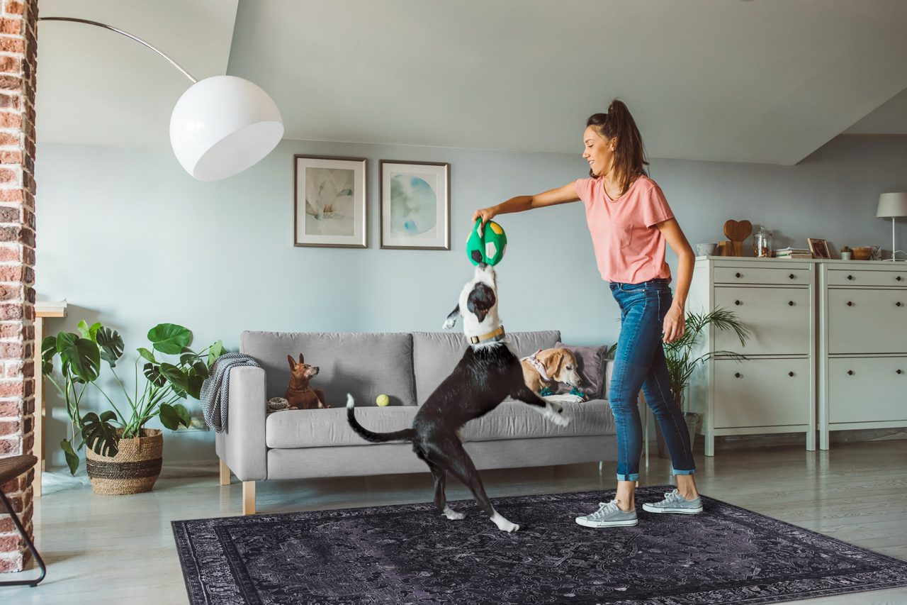 RW1318 washable chenille area rug, pet and kid friendly