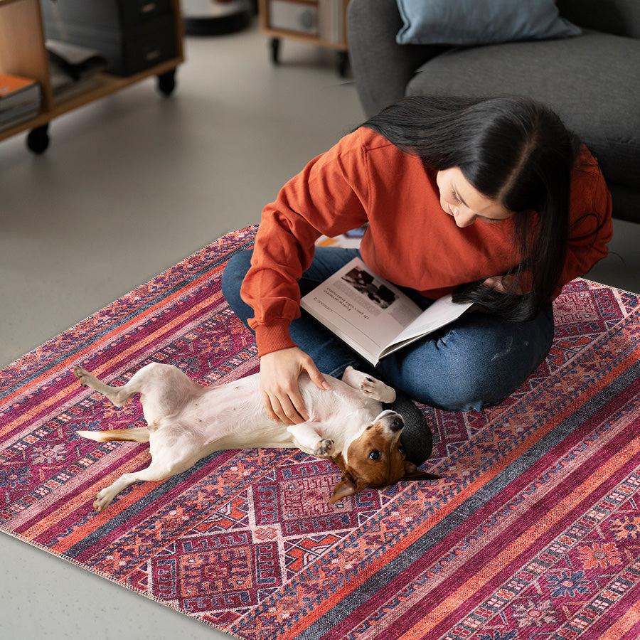 RW1322 washable chenille area rug, pet and kid friendly