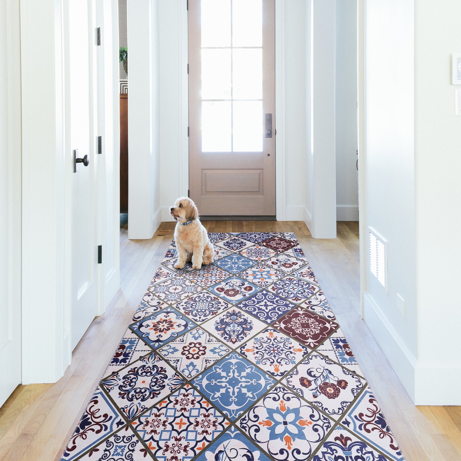 RW4002 washable runner rug in a modern hallway