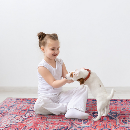 RWNL1001 washable chenille area rug, pet and kid friendly
