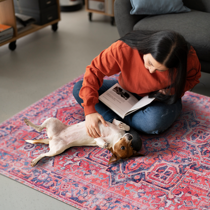 RWNL1001 washable chenille area rug, pet and kid friendly