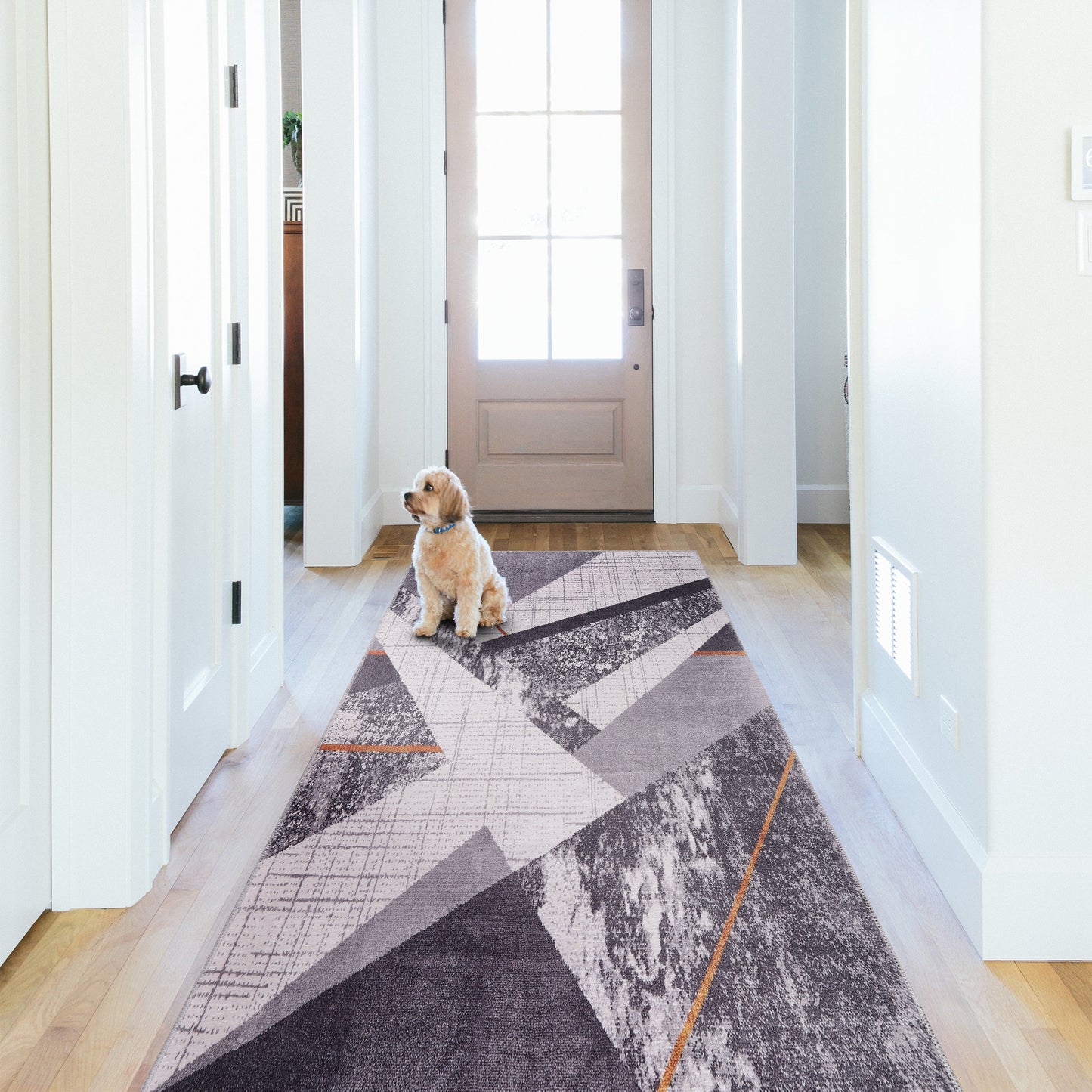 RWNL1005 washable runner rug in a modern hallway