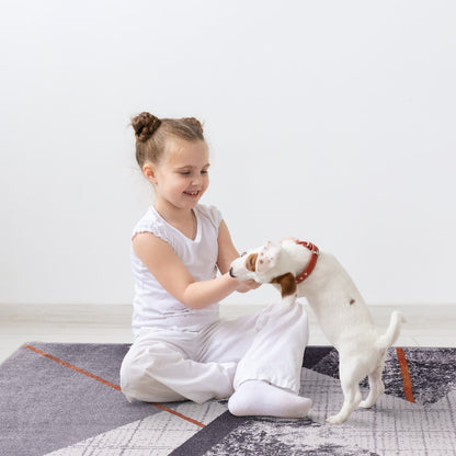 RWNL1005 washable chenille area rug, pet and kid friendly