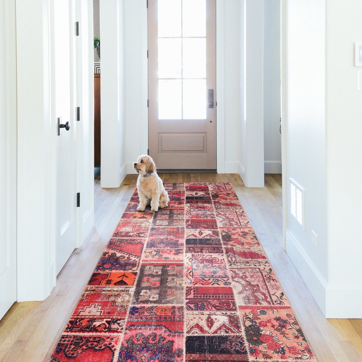 RWNL1006 washable runner rug in a modern hallway