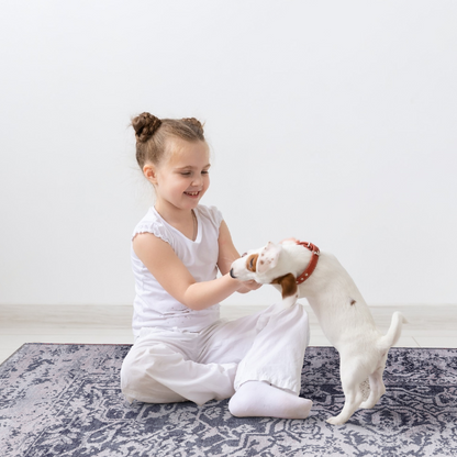 RWNL1010 washable chenille area rug, pet and kid friendly