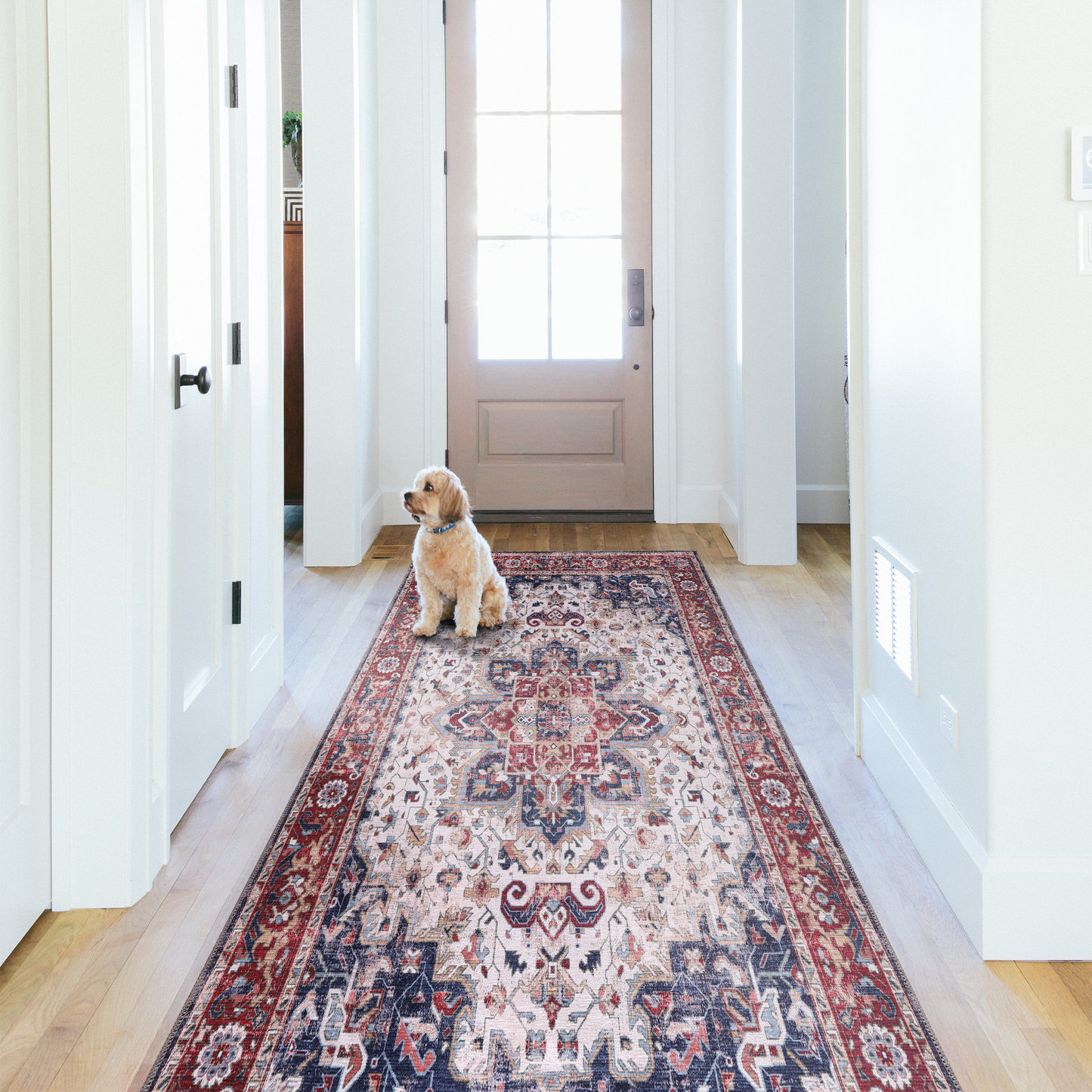 RWNL1011 washable runner rug in a modern hallway