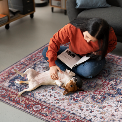 RWNL1011 washable chenille area rug, pet and kid friendly