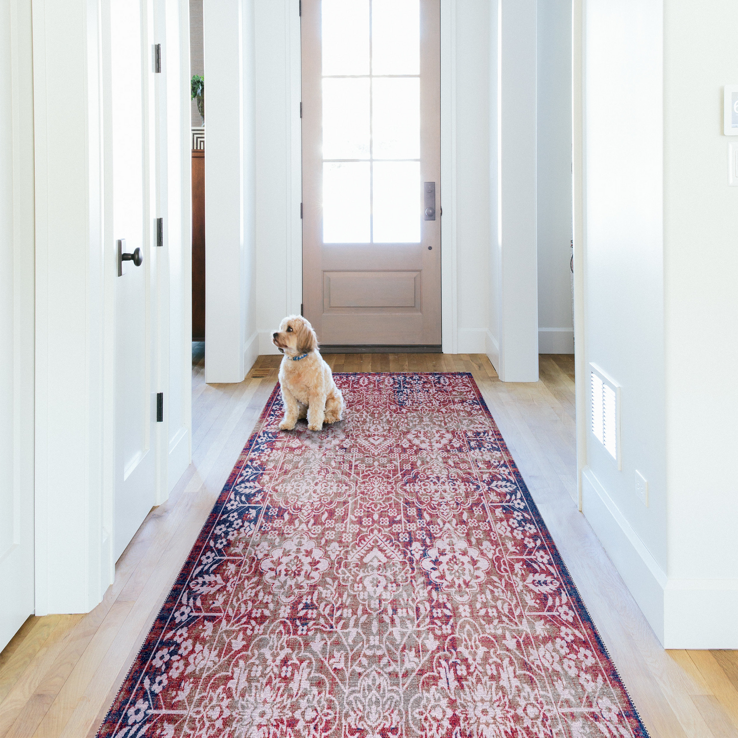 RWNL1012 washable runner rug in a modern hallway